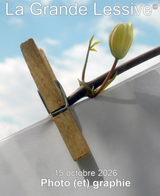 Capture d’écran 2026-10-15 144222.png